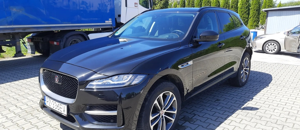 Jaguar F-Pace cena 136999 przebieg: 105000, rok produkcji 2019 z Rzeszów małe 191